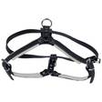 Gappay Suojeluvaljas narttu koko - Koiran valjaat - 4097 - 1