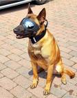 K9 Mask koiran suojalasit keskikokoisille ja isoille koirille - Koiran suojalasit - 1887 - 2