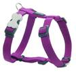 RedDingo Classics valjaat lila 36-54 cm - Koiran valjaat - 3897 - 1