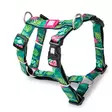 Max & Molly H-Harness tropical XS - Koiran valjaat - 5917 - 1