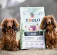 YDOLO Healthy & Pure Duck puolikostea koiranruoka 2,5 kg - Koulutusherkut - 6247 - 2