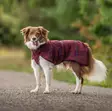Pomppa WooliePomppa maroon 31 cm - Koiran takit - 6387 - 2