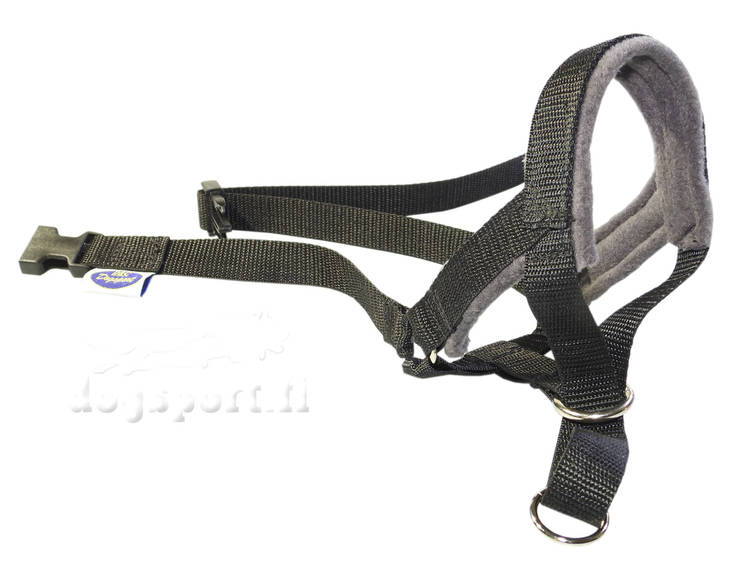 D&C Kuonopanta pehmusteella koko 1 - Koiran kuonopannat - 1447 - 1