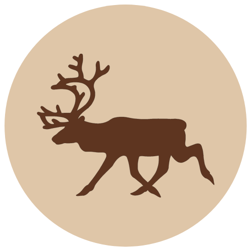 Fanimal Jauhettu poro, luuton 500 g - Fanimal - 3587 - 1