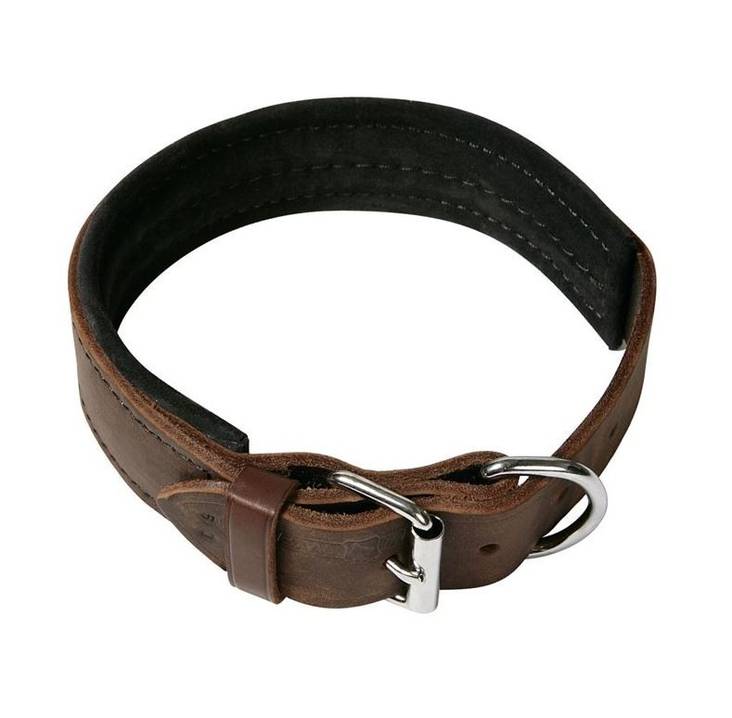 Klin Suojelupanta 55 cm - Koiran nahkapannat - 107 - 1