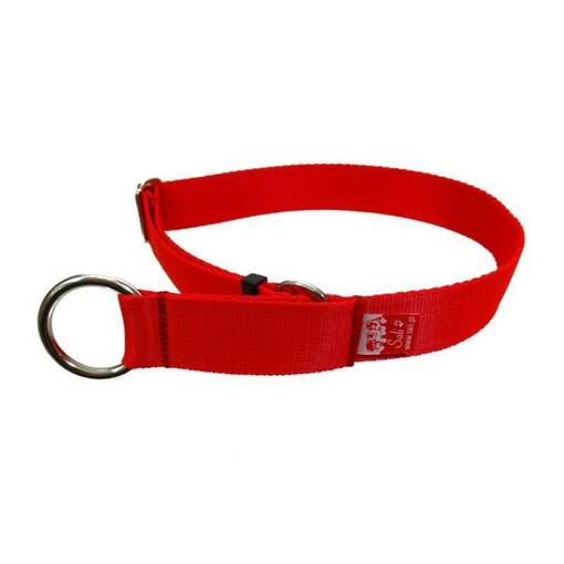 Sali Obro puolikiristävä panta 25 mm punainen koko M - Koiran tekstiilipannat - 4867 - 1