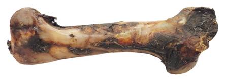 Hevosen paistettu sääriluu - Paistetut luut - 838 - 1