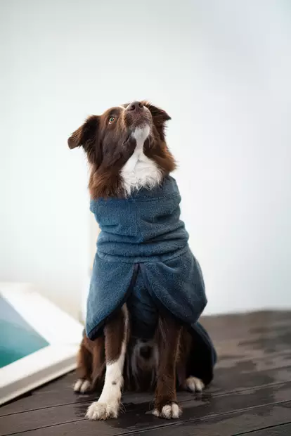 BathPomppa koiran kylpytakki tummansininen 25-28 cm - Koiran takit - 2588 - 2