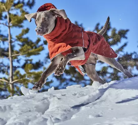 Hurtta Extreme Warmer III ECO koiran talvitakki kaneli 25 cm - Koiran takit - 2658 - 2