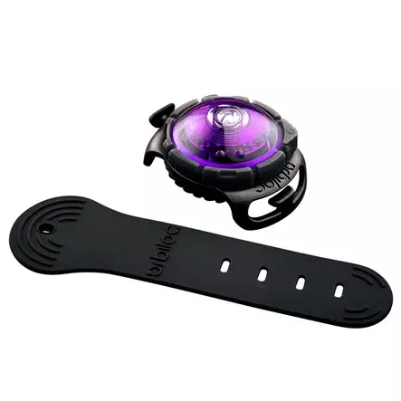 Orbiloc Dual turvavalo lila - Koiran huomiovalot - 658 - 1