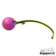 D&C Foam pallo gripillä fuchsia pieni - Narupallot ja pallot - 1588 - 2