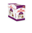 Royal Canin Sensory Smell Gravy kissan märkäruoka 85 g - Royal Canin märkäruoat kissalle - 3338 - 1
