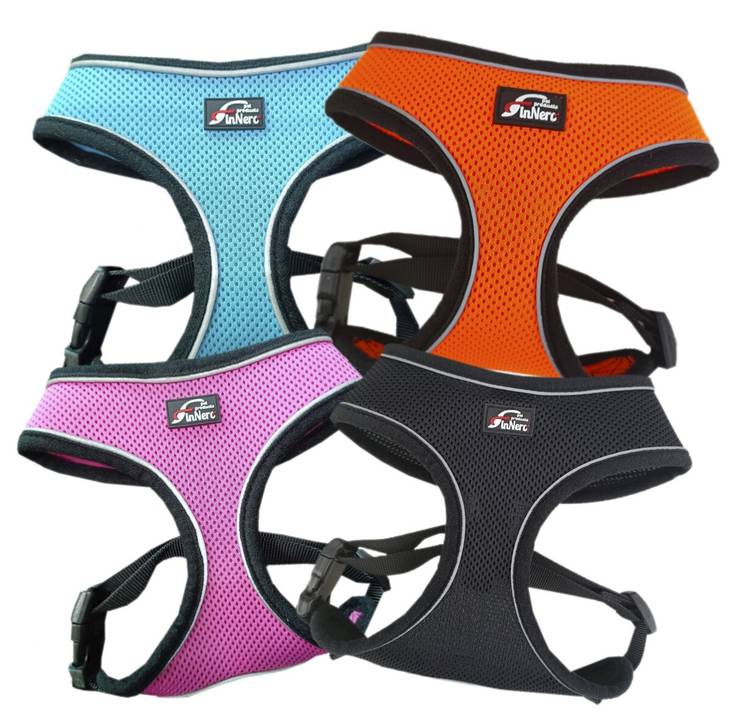 Finnero Heijastava Light valjas kissalle, musta - Kissan valjaat - 2058 - 1