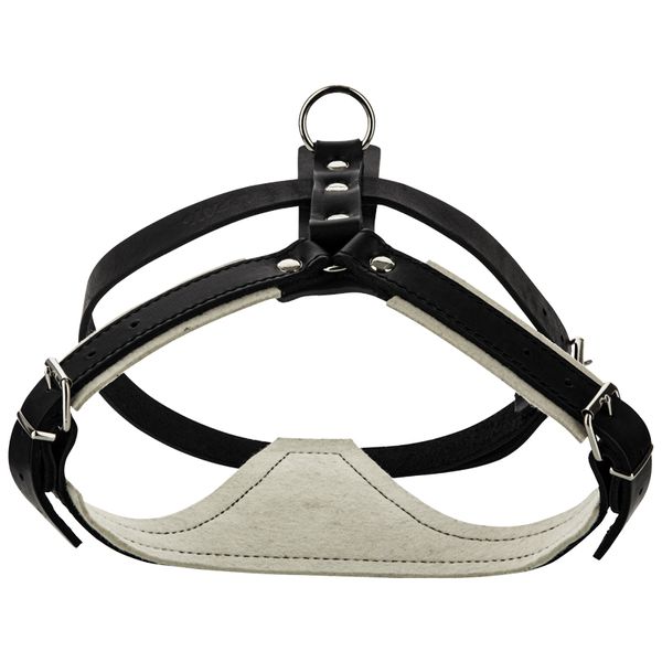 Gappay Suojeluvaljas rintapanssarilla - Koiran valjaat - 4098 - 1