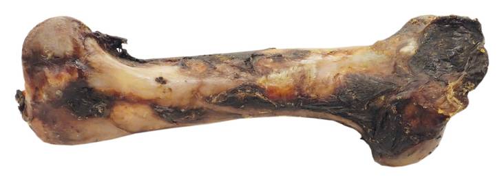 Hevosen paistettu sääriluu - Paistetut luut - 838 - 1