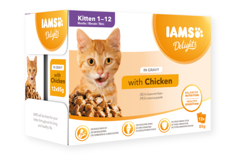 Iams Cat Delights Kitten Chicken in gravy kissanpennun märkäruoka 12 x 85 g - Iams märkäruoat kissalle - 3488 - 1