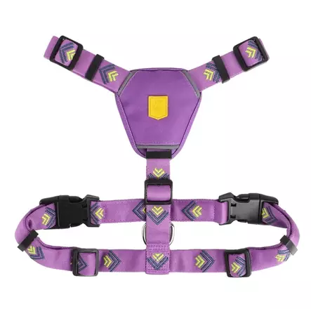 Woolly Wolf Northern Lights valjas XS - Koiran valjaat - 6309 - 1