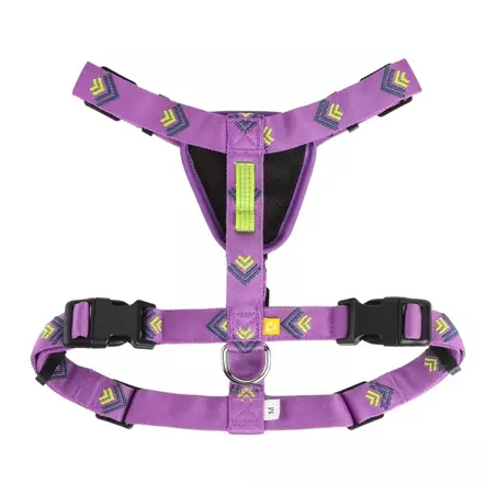 Woolly Wolf Northern Lights valjas XS - Koiran valjaat - 6309 - 2