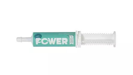 Svenska DjurApoteket Power lohi 60 g - Vitamiinilisät koiralle - 6259 - 2