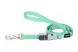 RedDingo SuperLead Classics pastelli vihreä 15 mm 180 cm - Koiran tekstiilitaluttimet - 5979 - 1