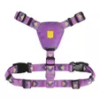 Woolly Wolf Northern Lights valjas XS - Koiran valjaat - 6309 - 1