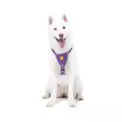 Woolly Wolf Northern Lights valjas XS - Koiran valjaat - 6309 - 3