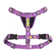 Woolly Wolf Northern Lights valjas XS - Koiran valjaat - 6309 - 2