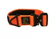 Euro Joe kaulapanta oranssi L - Koiran tekstiilipannat - 1369 - 1