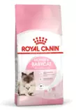 Royal Canin Mother & Babycat kissan kuivaruoka 400 g PÄIVÄYS LÄHESTYY - Royal Canin kuivaruoat kissalle - 2649 - 1