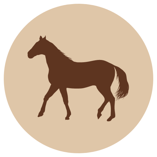 Fanimal Jauhettu hevonen, luuton 500 g - Fanimal - 1509 - 1