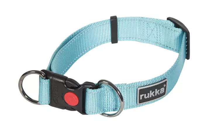 Rukka Pets Bliss panta turkoosi XS - Koiran tekstiilipannat - 5399 - 1