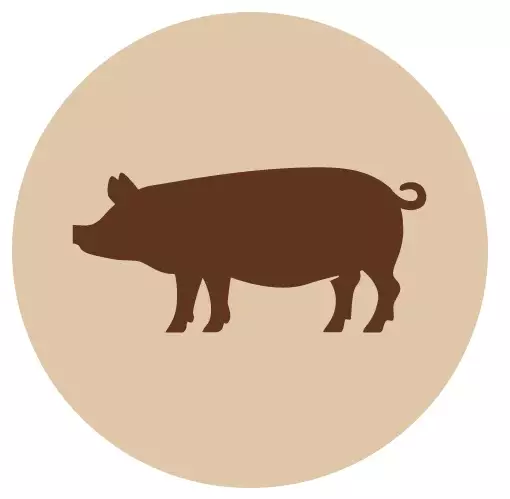 Fanimal jauhettu possun sydän 200 g - Fanimal - 6409 - 1